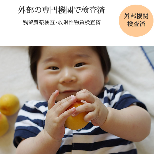 �������ؤˤƻ�α����������������ʪ��������